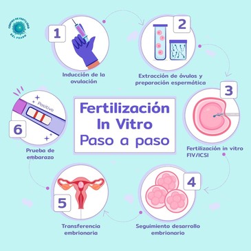 Slider image (2) Centro de Fertilidad del Prado